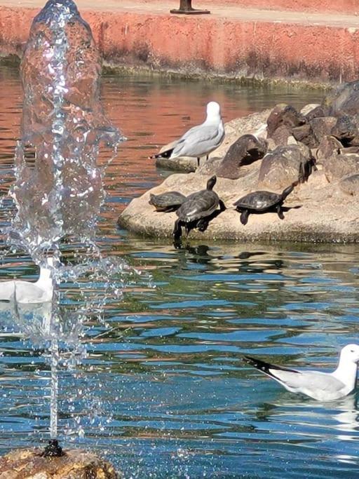 Nice Holidays Apartment In Torreveja, Torrevieja Extérieur photo